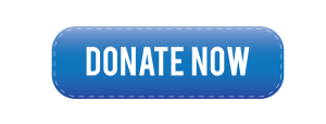 Blue Donate now button
